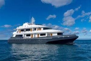 Royal Horizon Charter